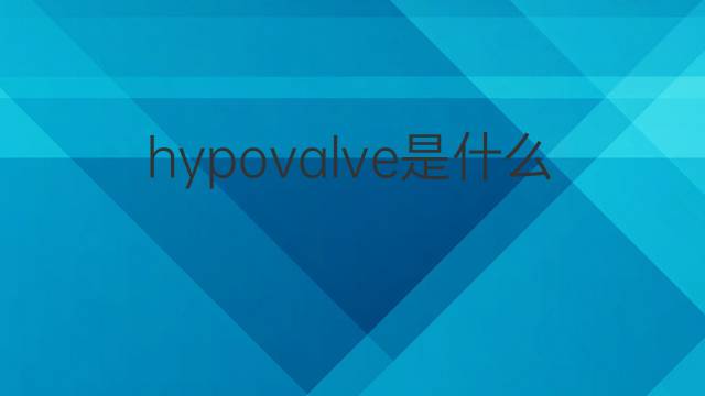 hypovalve是什么意思 hypovalve的中文翻译、读音、例句