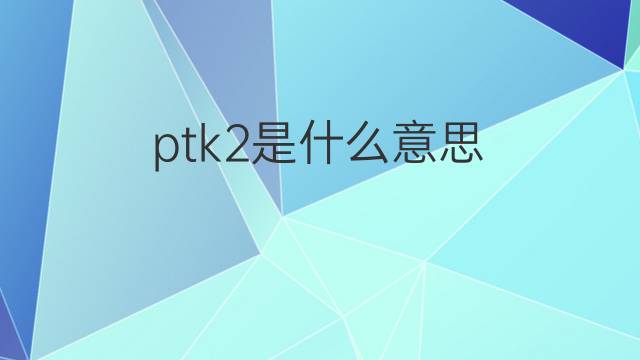 ptk2是什么意思 ptk2的中文翻译、读音、例句