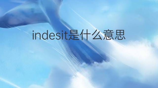 indesit是什么意思 indesit的中文翻译、读音、例句