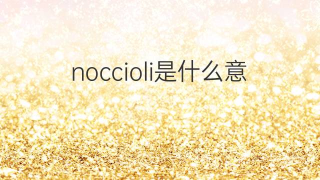 noccioli是什么意思 noccioli的中文翻译、读音、例句