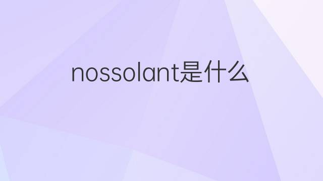 nossolant是什么意思 nossolant的中文翻译、读音、例句