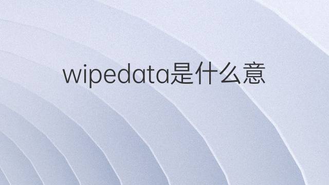 wipedata是什么意思 wipedata的中文翻译、读音、例句