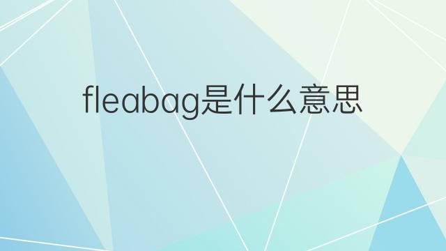 fleabag是什么意思 fleabag的中文翻译、读音、例句