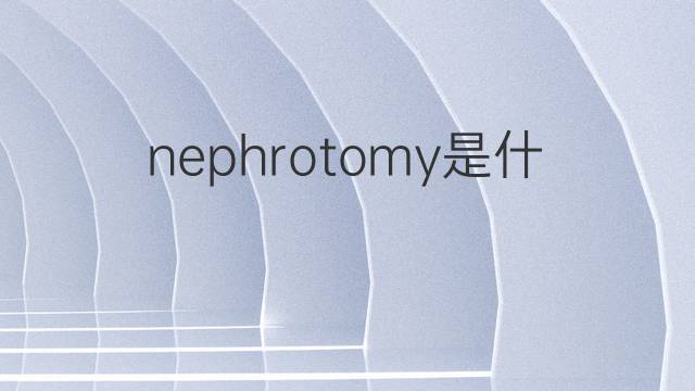 nephrotomy是什么意思 nephrotomy的中文翻译、读音、例句