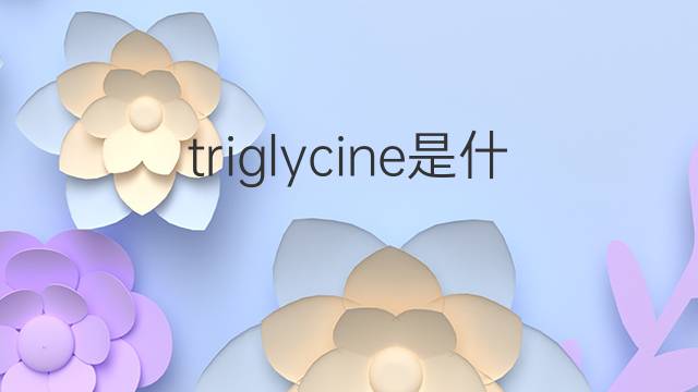 triglycine是什么意思 triglycine的中文翻译、读音、例句