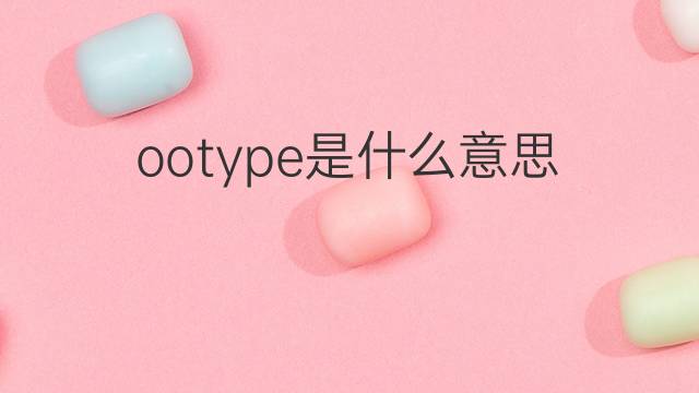 ootype是什么意思 ootype的中文翻译、读音、例句
