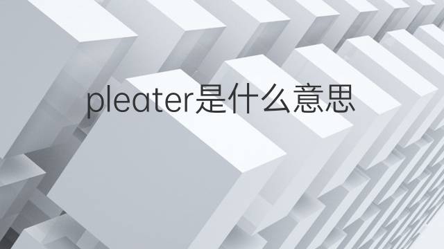 pleater是什么意思 pleater的中文翻译、读音、例句