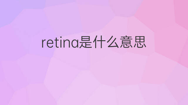 retina是什么意思 retina的中文翻译、读音、例句