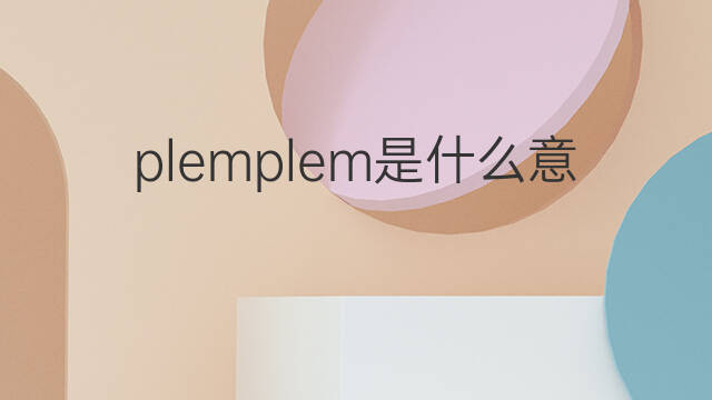 plemplem是什么意思 plemplem的中文翻译、读音、例句
