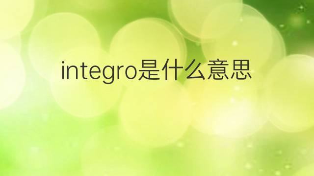 integro是什么意思 integro的中文翻译、读音、例句
