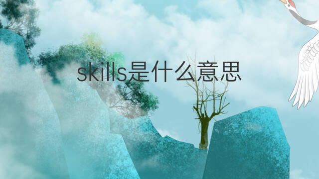 skills是什么意思 skills的中文翻译、读音、例句