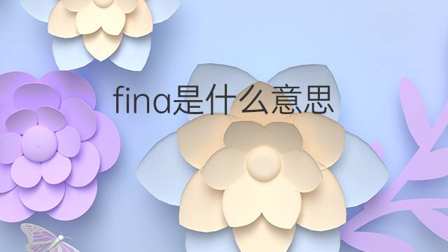fina是什么意思 fina的中文翻译、读音、例句