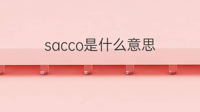sacco是什么意思 sacco的中文翻译、读音、例句