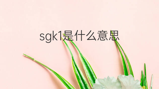 sgk1是什么意思 sgk1的中文翻译、读音、例句