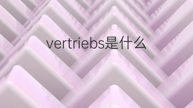 vertriebs是什么意思 vertriebs的中文翻译、读音、例句