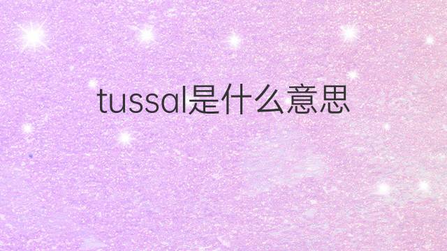 tussal是什么意思 tussal的中文翻译、读音、例句