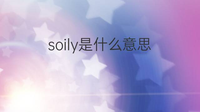 soily是什么意思 soily的中文翻译、读音、例句
