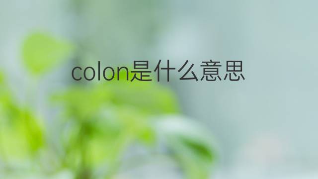 colon是什么意思 colon的中文翻译、读音、例句