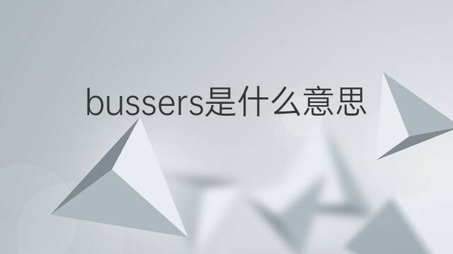 bussers是什么意思 bussers的中文翻译、读音、例句