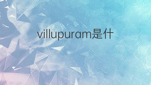 villupuram是什么意思 villupuram的中文翻译、读音、例句