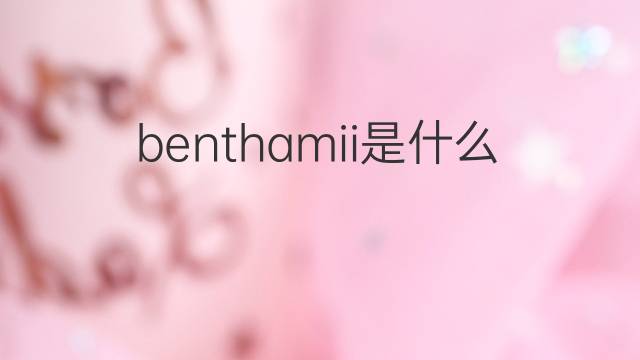benthamii是什么意思 benthamii的中文翻译、读音、例句