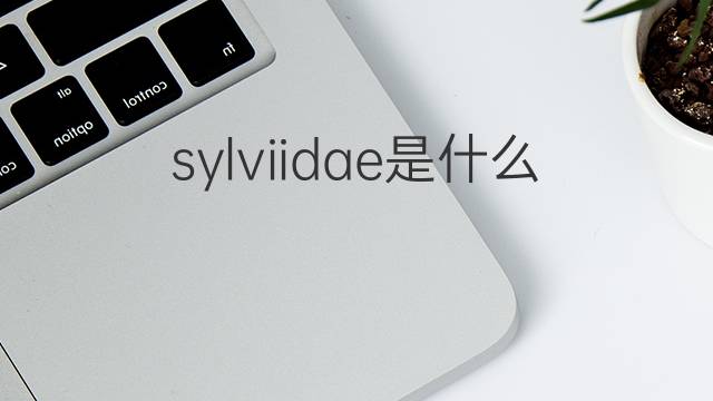 sylviidae是什么意思 sylviidae的中文翻译、读音、例句
