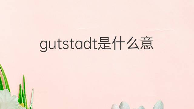 gutstadt是什么意思 gutstadt的中文翻译、读音、例句