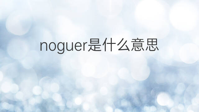 noguer是什么意思 noguer的中文翻译、读音、例句