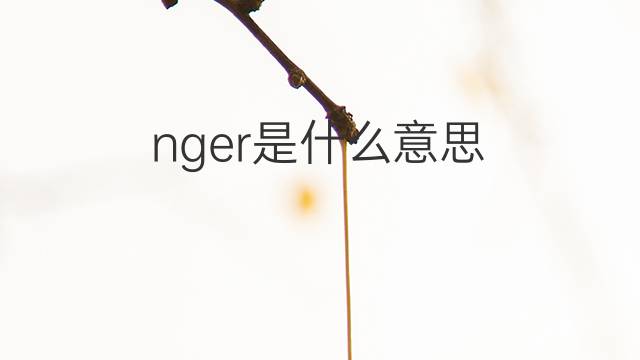 nger是什么意思 nger的中文翻译、读音、例句