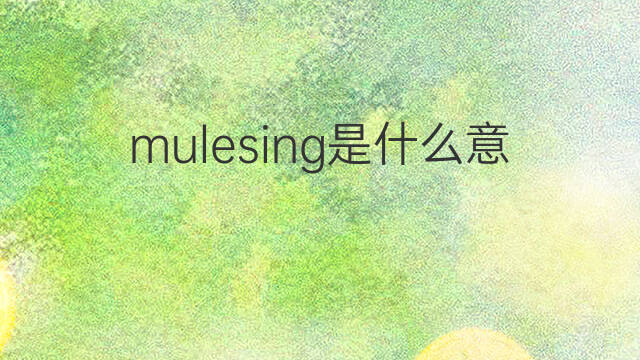 mulesing是什么意思 mulesing的中文翻译、读音、例句