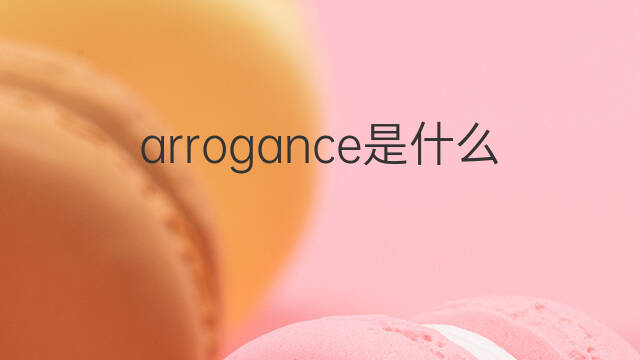 arrogance是什么意思 arrogance的中文翻译、读音、例句