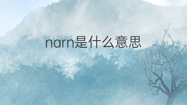 narn是什么意思 narn的中文翻译、读音、例句