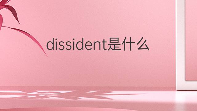 dissident是什么意思 dissident的中文翻译、读音、例句