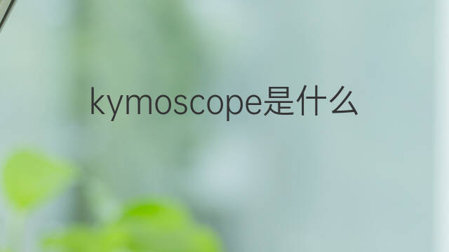 kymoscope是什么意思 kymoscope的中文翻译、读音、例句