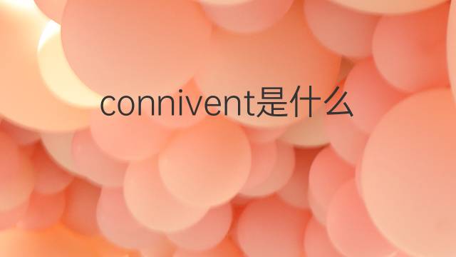 connivent是什么意思 connivent的中文翻译、读音、例句