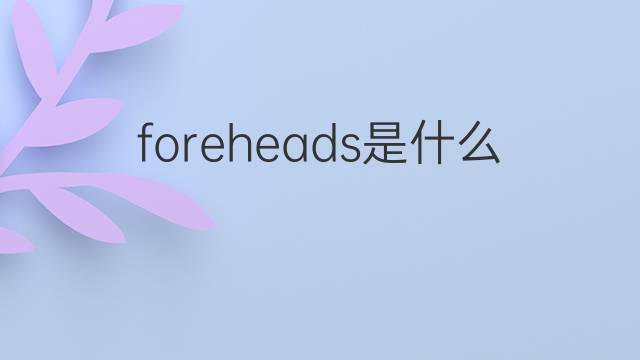 foreheads是什么意思 foreheads的中文翻译、读音、例句
