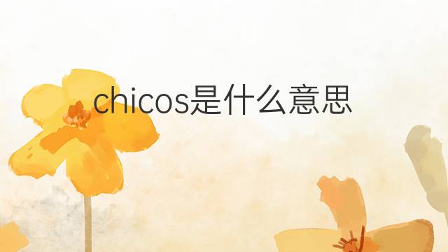 chicos是什么意思 chicos的中文翻译、读音、例句