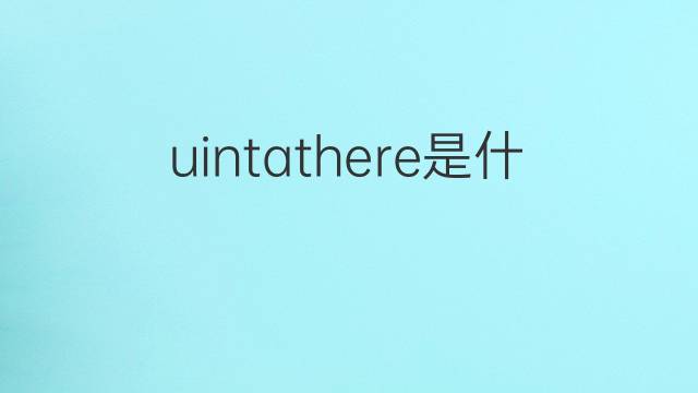 uintathere是什么意思 uintathere的中文翻译、读音、例句