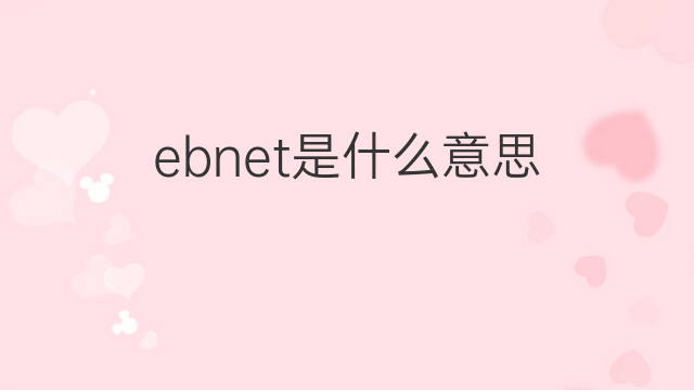 ebnet是什么意思 ebnet的中文翻译、读音、例句
