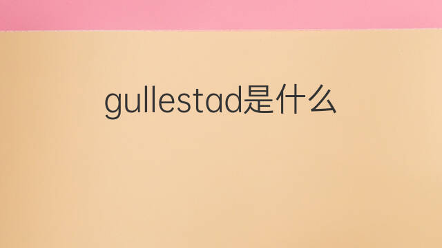 gullestad是什么意思 gullestad的中文翻译、读音、例句