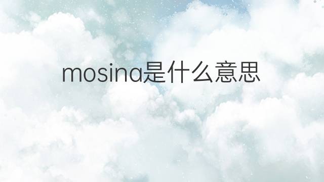 mosina是什么意思 mosina的中文翻译、读音、例句