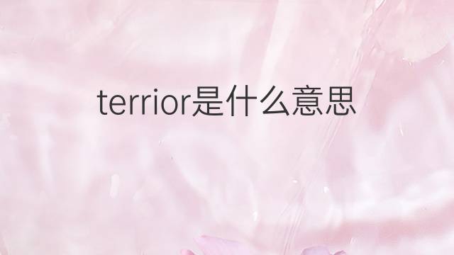 terrior是什么意思 terrior的中文翻译、读音、例句