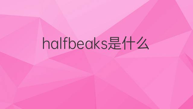 halfbeaks是什么意思 halfbeaks的中文翻译、读音、例句
