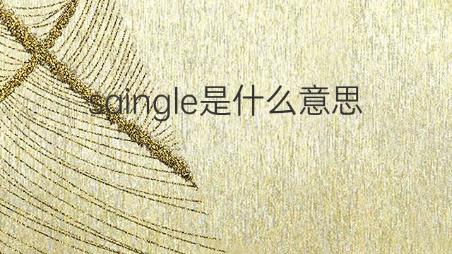 saingle是什么意思 saingle的中文翻译、读音、例句