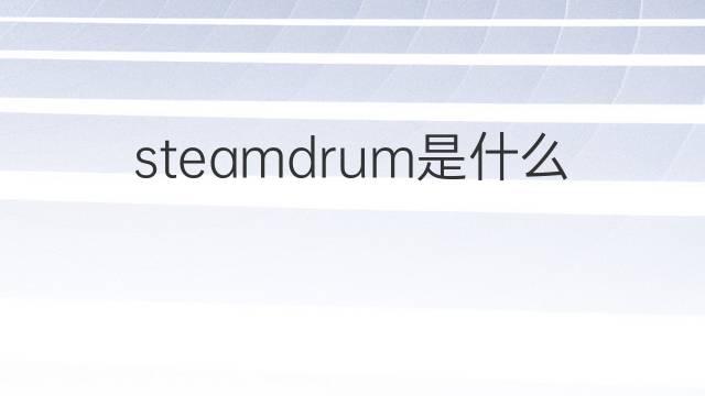 steamdrum是什么意思 steamdrum的中文翻译、读音、例句
