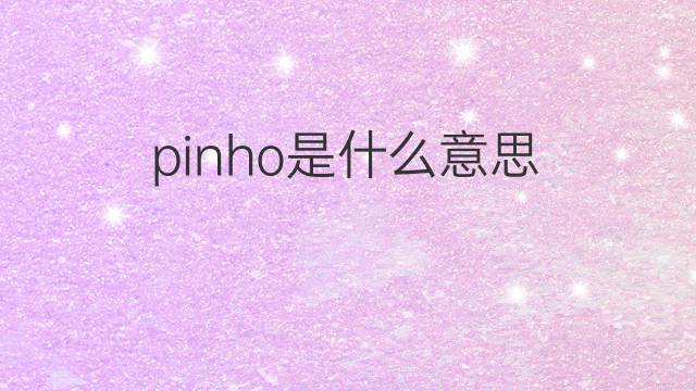 pinho是什么意思 pinho的中文翻译、读音、例句