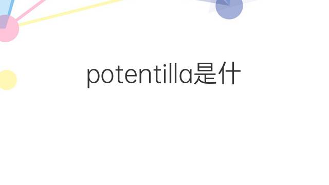 potentilla是什么意思 potentilla的中文翻译、读音、例句