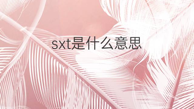 sxt是什么意思 sxt的中文翻译、读音、例句