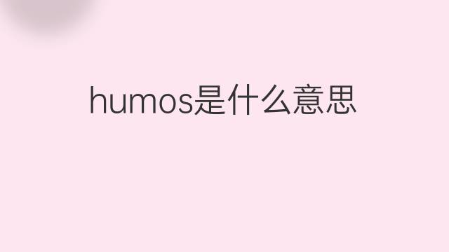humos是什么意思 humos的中文翻译、读音、例句