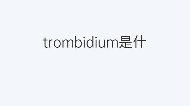 trombidium是什么意思 trombidium的中文翻译、读音、例句